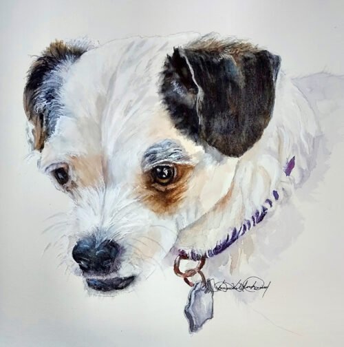 Custom Pet Portrait Painting