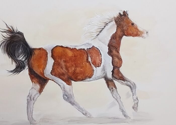 Custom Pet Portrait Painting - Image 4
